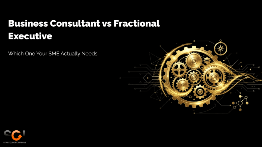 business consultant vs fractional executive