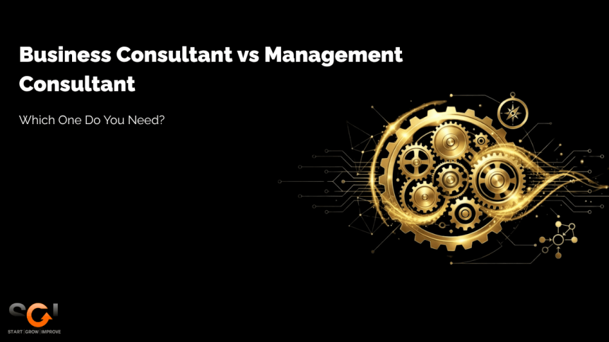 Business-Consultant-vs-Management consultant