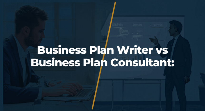 business plan writer vs business plan consultant