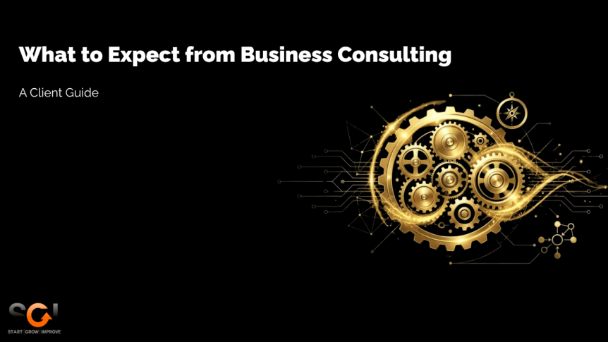 What to Expect from Business Consulting.