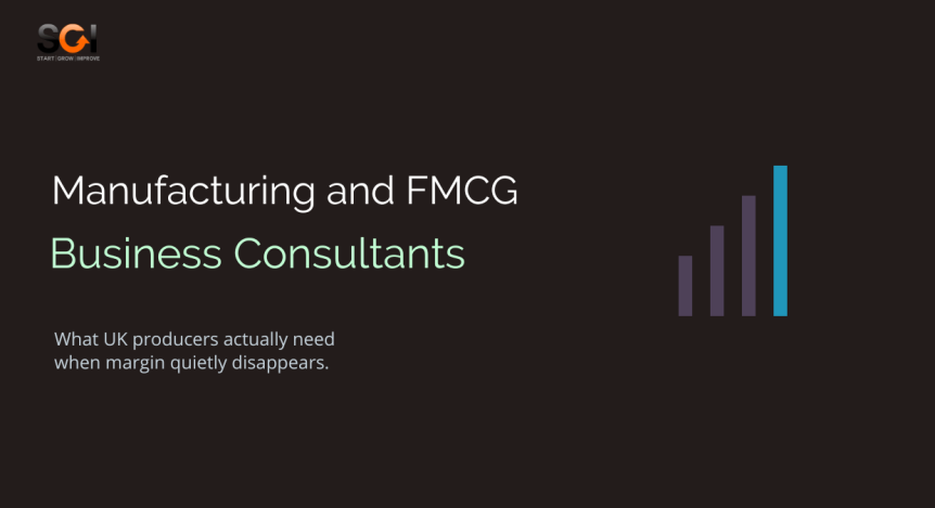 manufacturing consulting